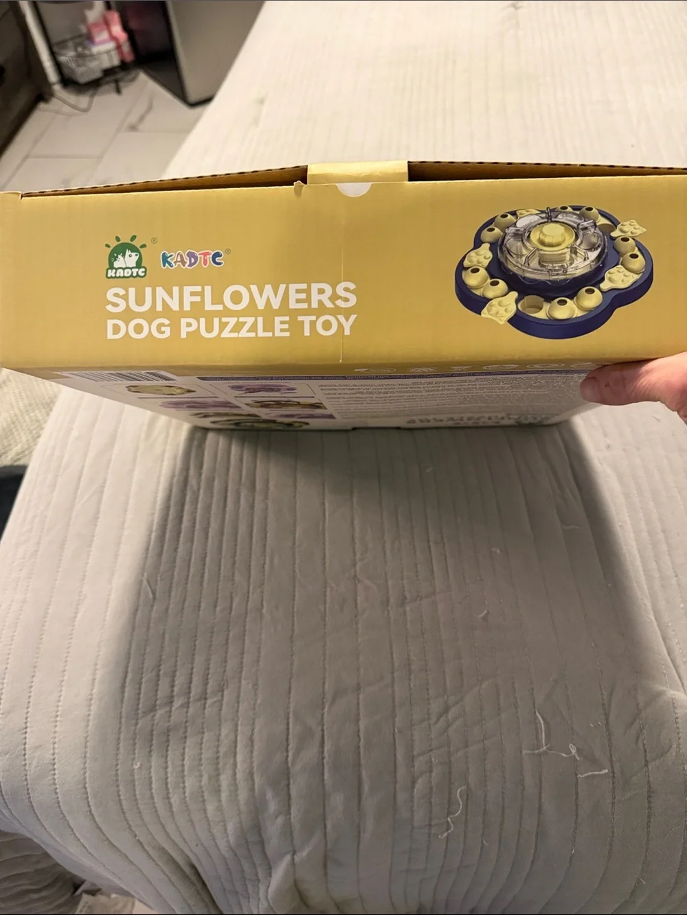 ADT interactive sunflower